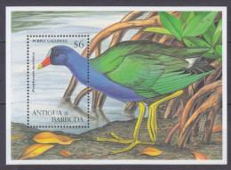 1995 Antigua And Barbuda 2209/B321 Birds 7,50 € - Pics & Grimpeurs