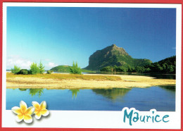 Ile Maurice - Mauritius - Morne Brabant - Maurice