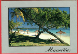 Ile Maurice - Mauritius - Trou Aux Biches - Maurice