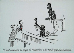 ► Illustrateur  Sempé "Le Petit Nicolas".  Ils Sont Amusants Les Singes ZOO (Edition 2006 Epuisée) - Sempé