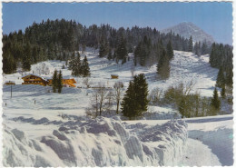 Wintersportzentrum St. Johann InTirol - Berggasthof 'Buchwies' -  Österreich/Austria) - 1968 - St. Johann In Tirol