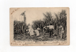 !!! MARTINIQUE, CPA DES COUPEURS DE CANNE A SUCRE, CACHET DE MARIN DE 1904 - Le Marin