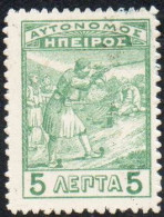 GREECE GRECIA HELLAS EPIRUS EPIRO 1914 INFANTRYMEN MARKSMEN 5L MH - Epirus & Albania