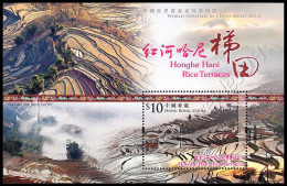 Hong Kong 2015: Foglietto Terrazzamenti A Riso Hani Di Honghe / Honghe Hani Rice Terraces, World Heritage S/S ** - Blocchi & Foglietti