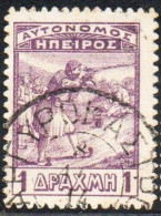 GREECE GRECIA HELLAS EPIRUS EPIRO 1914 INFANTRYMEN MARKSMEN 1d USED USATO OBLITERE' - Epirus & Albanië
