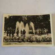 Rhenen (Utr..) Ouwehand's Dierenpark (Zoo) Kinderen Bij De Fontein 195 - Rhenen