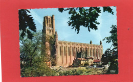 81----ALBI---La Basilique Sainte-Cécile XIIIè Siècle Façade Méridionale---voir 2 Scans - Albi