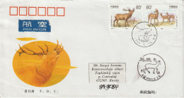 Chine FDC 1999 Cerfs 3675-76 Voyagé Pour La Russie (complément Au Verso) - 1990-1999