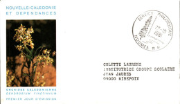 NOUVELLE CALEDONIE LETTRE DE SERVICE DE NOUMEA 1981 - Cartas & Documentos