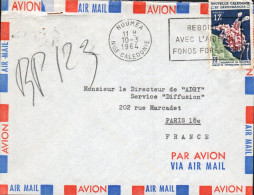 NOUVELLE CALEDONIE SEUL SUR LETTRE AVION POUR LA FRANCE 1964 - Cartas & Documentos