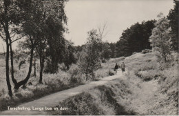 Terschelling Langs Bos En Duin - Terschelling