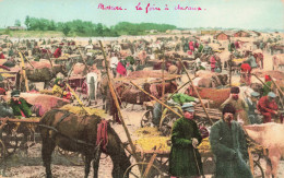 RUSSIE - S16561 - Moscou - La Foire Aux Chevaux - L23 - Russland