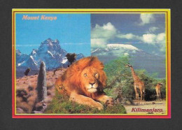Animaux & Faune - Animals - Giraffe & Lion - Mount Kenya Kilimanjaro With Lion & Giraffe - Copyright By Sapra Studio - Jirafas