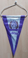 DOZSA Debrecen Hungary  Football Club Fussball Soccer Calcio PENNANT ZS 1 KUT - Bekleidung, Souvenirs Und Sonstige