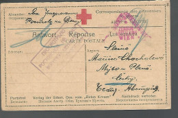 58400)  Russia Prisoner Of War Postcard  Red Cross Postmark Cancel 1917 - Cartas & Documentos