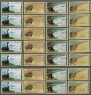 PORTUGAL ATM MACHINE STAMPS - ETIQUETAS - 1999 DINOSAURS - Nº 20A COMPLETE SET+AZUL 28 V. MNH (BA5#460) - Macchine Per Obliterare (EMA)