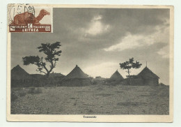 ERITREA - FAUNA, USI E COSTUMI, TRAMONTO 1937   VIAGGIATA FG - Erythrée
