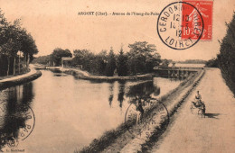 Argent - Avenue De L'étang Du Puits - Attelage à Chien , Voiture à Chiens - Argent-sur-Sauldre