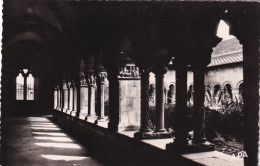 66, Elne, Le Cloître - Galerie - Elne