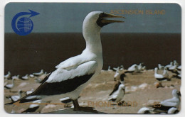 Ascension Island - White Booby Bird - 1CASB - Ascension