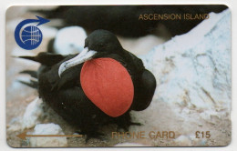 Ascension Island - Frigate Bird - 1CASD - Islas Ascensión