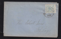 Dänemark Denmark 1865 Cover 2Sk To SILKEBORG - Covers & Documents