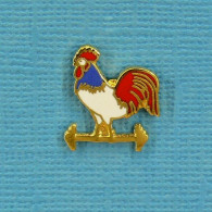 1 PIN'S //  ** COQ SPORTIF / FÉDÉRATION FRANÇAISE D’HALTÉROPHILIE ** - Halterofilia