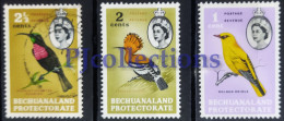 N1239- BECHUANALAND 1961 UCCELLI - BIRDS SET 3 STAMPS MH/USED - 1885-1964 Bechuanaland Protettorato