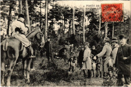 PC FORET DE CHASSE A COURRE HUNTING SPORT (a34966) - Chasse