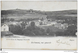 HERBEUMONT ..-- Vue Générale . 1904 Vers MOLENBEEK ( Melle Angèle DELVIGNE ) . Voir Verso . - Herbeumont