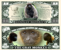 USA - FANTASY NOTE -  WOOLLY  MONKEY  - UNC - Otros & Sin Clasificación