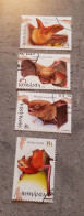 ROMANIA  BATS  SET USED - Oblitérés