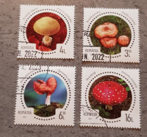 ROMANIA MUSHROOMS SET USED - Usados