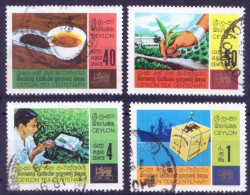 Ceylon Sri Lanka 1967 Fine Used 4v, Tea Industry, Export, Picking Tasting - Usines & Industries