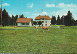 CPA SUISSE LES EMIBOIS Colonie De BONCOURT 1976 Pour La BREVINE - Boncourt