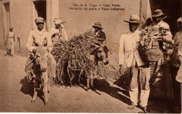 CABO VERDE - S. TIAGO - Vendedor De Palha - Cap Vert