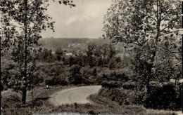 WONCK Panorama Du Village Et Sa Forêt De Peupliers - Bassenge