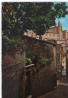 LOTTO 2 CARTOLINE 1971-73 TALIA URBINO TORRICINI DA S.GIOVANNI PIAZZA DUCALE Italy Postcards Set Italien Ansichtskarten - Urbino