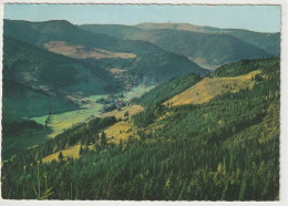 Menzenschwand, Hochschwarzwald, Baden-Württemberg - Hochschwarzwald