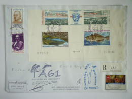 2023 - 1044  TAAF  -  Enveloppe REC  De  2011  Au Départ De  DUMONT D'URVILLE  T. ADELIE   XXX - Covers & Documents