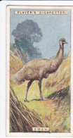 19 Emu   - Natural History 1924 - Players Cigarette Card - Original - Player's