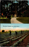 Florida Jacksonville Bloxham Heights Showing Bloxham Plantation The Riddle Company 1913 - Jacksonville