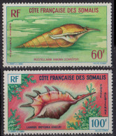 COTE DES SOMALIS - Coquillages De La Mer Rouge (poste Aérienne) - Neufs