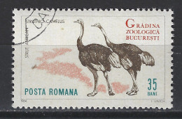 Roemenie Romania Romana Used ; Struisvogel Ostrich Autruche Avestruz Vogel Bird Ave Oiseau - Autruches