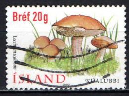 ISLANDA - 2002 - LECCINUM SCABRIUM - USATO - Gebruikt