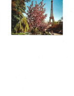 France - Postcard Unused -  Paris  -  The Eiffel Tower Seen From The Gardens Of The Palais De Chaillot - Tour Eiffel