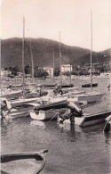 Cavalaire Sur Mer - Hors Bords Et Voilieres Au Port - CPSM °J - Cavalaire-sur-Mer