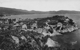 Cavalaire Sur Mer - Le Cap Et La Baie - CPSM °J - Cavalaire-sur-Mer