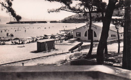 Cavalaire Sur Mer - Le Solarium - Un Coin De La Plage - CPSM °J - Cavalaire-sur-Mer