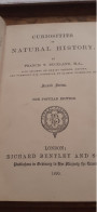 Curiosities Of Natural History FRANCIS T. BUCKLAND Richard Bentley 1890 - Other & Unclassified